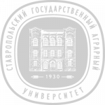 Монтажная область 81